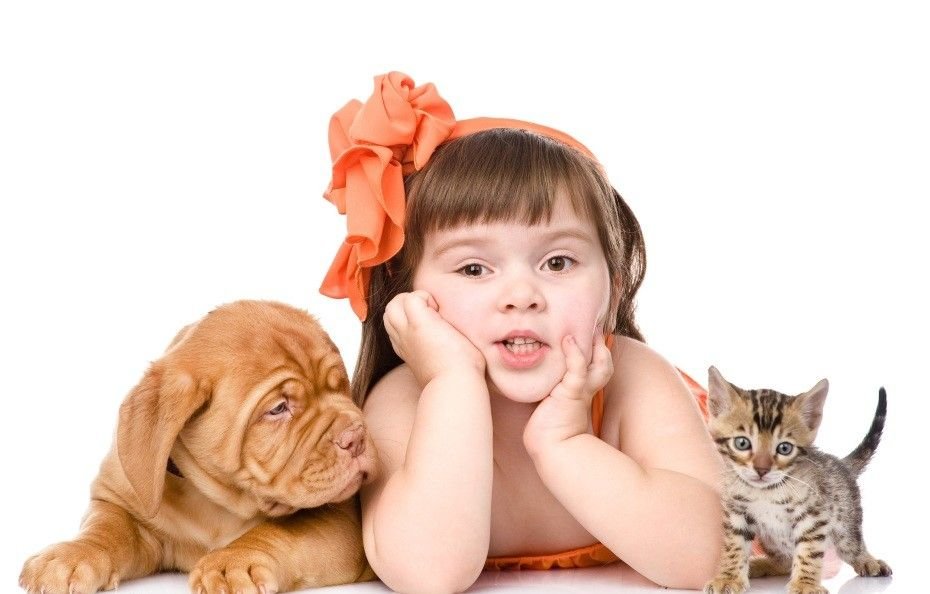 Маленькая порода собак для детей: какую выбрать, плюсы и минусы