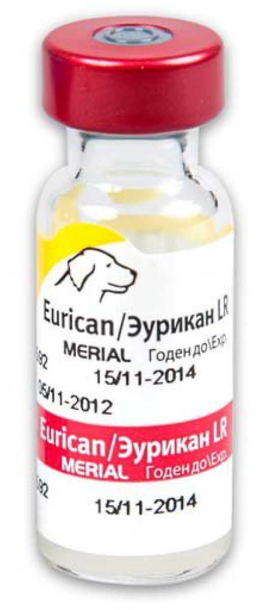 Вакцина эурикан для собак: схема вакцинации и принцип действия прививки