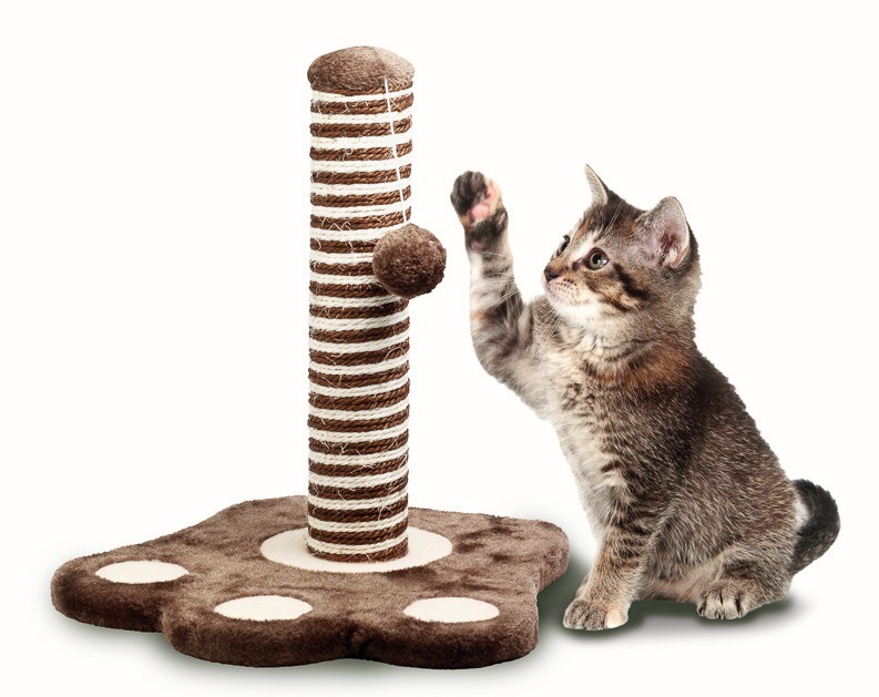 Как приучить котёнка или кошку к когтеточке и отучить кота драть мебель и обои