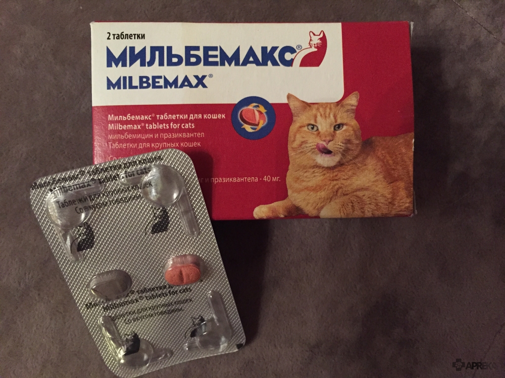 Таблетки против кошек. Мильбемакс антигельминтик для кошек 2 табл. (24 уп/240кор) 16/40 мг. Мильбемакс для кошек 1 таб.. От глистов кошке Мильбемакс. Таблетка от глистов Мильбемакс для котов.