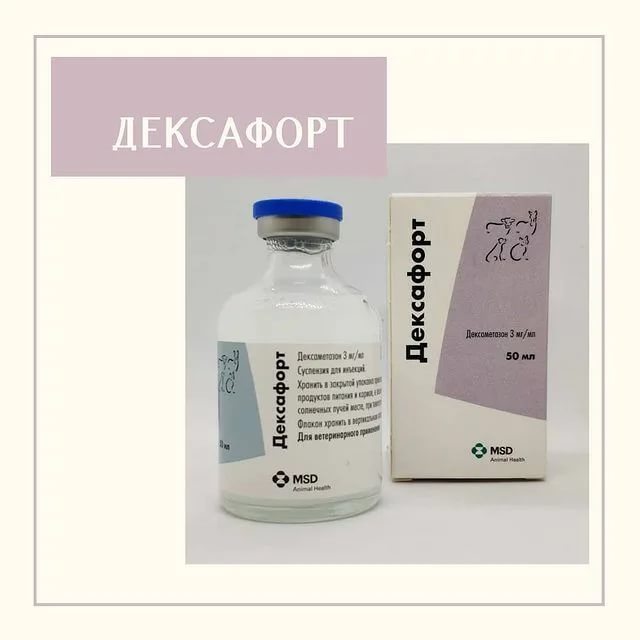 Дексафорт, гормональный противоаллергический препарат