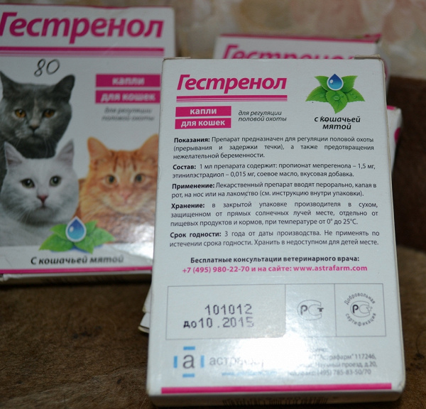 4 вида уколов для кошек вместо стерилизации