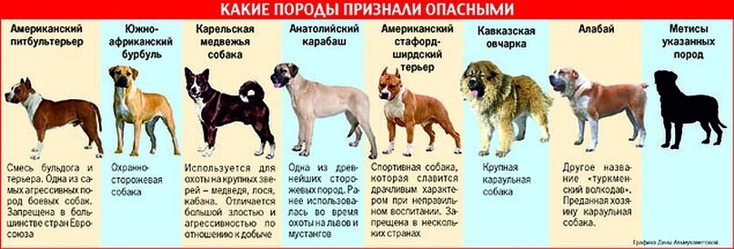 Топ-30 самых опасных собак в мире