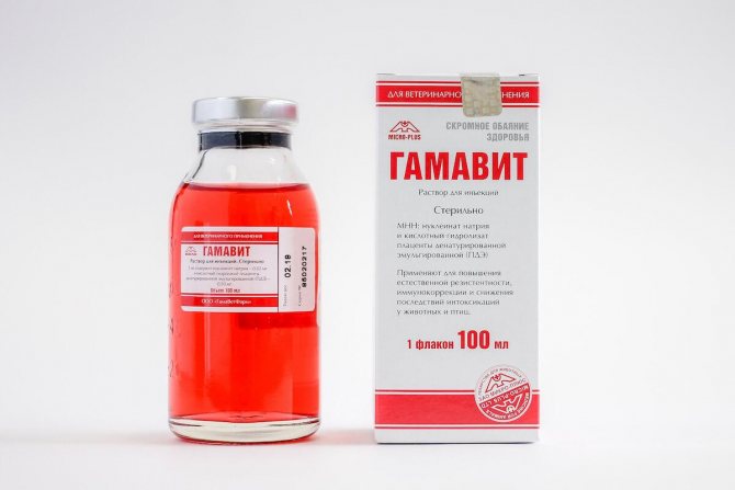 Гамавит для кошек: инструкция по применению, состав
