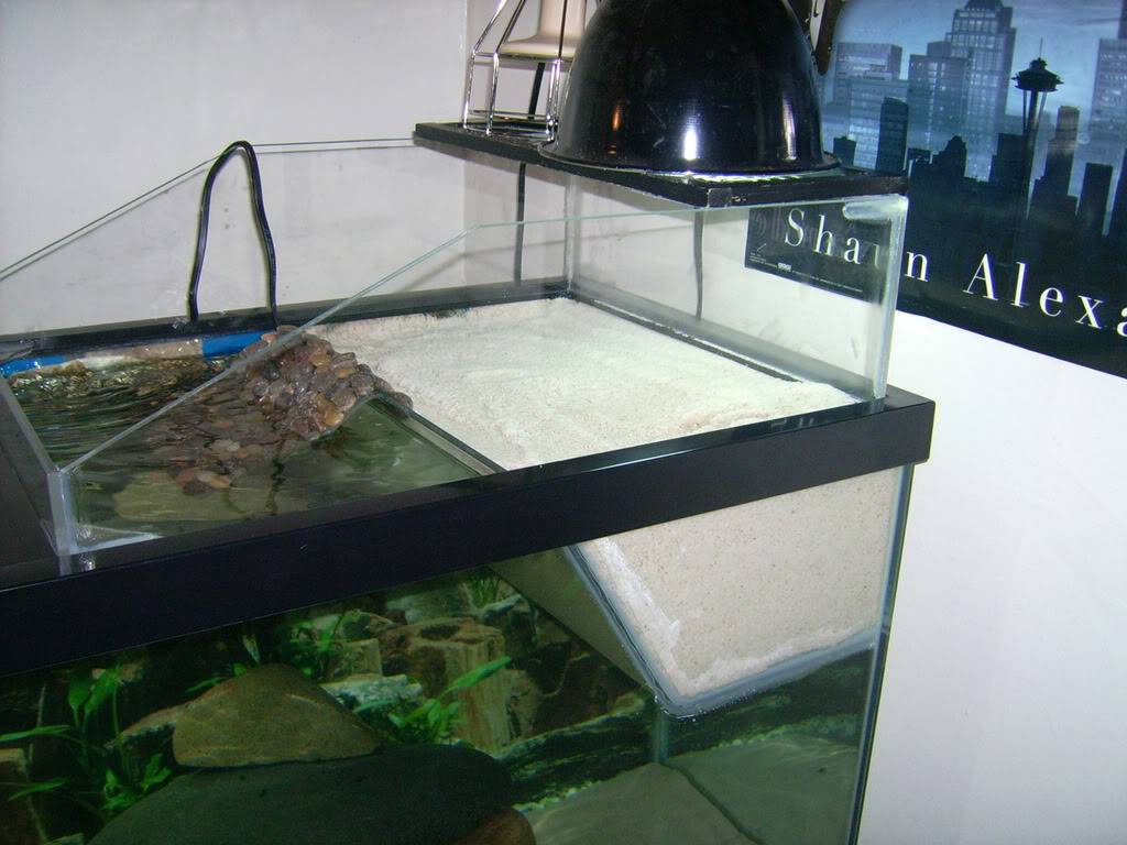 Аквариум для черепах (46 фото): выбираем аквариум для красноухой черепашки. какой должна быть температура воды? как обустроить аквариум для сухопутной и водной черепах?