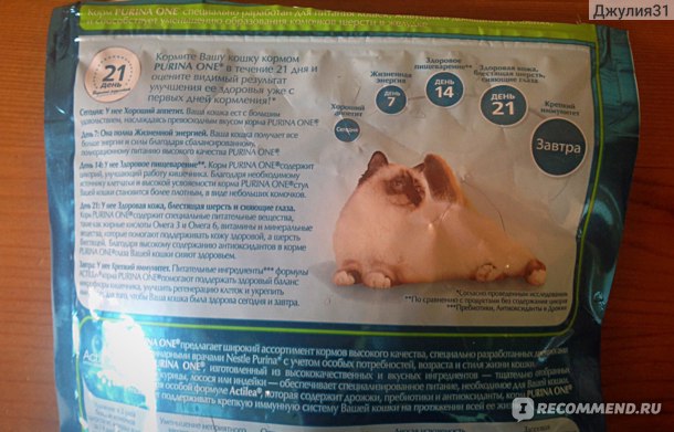 Корм purina pro plan для кошек: отзывы, где купить, состав