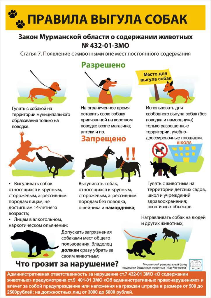 Правила выгула собак: закон в 2021 году в россии, штраф, запрещенные места, можно ли гулять без намордника и поводка в городе, в неположенном месте