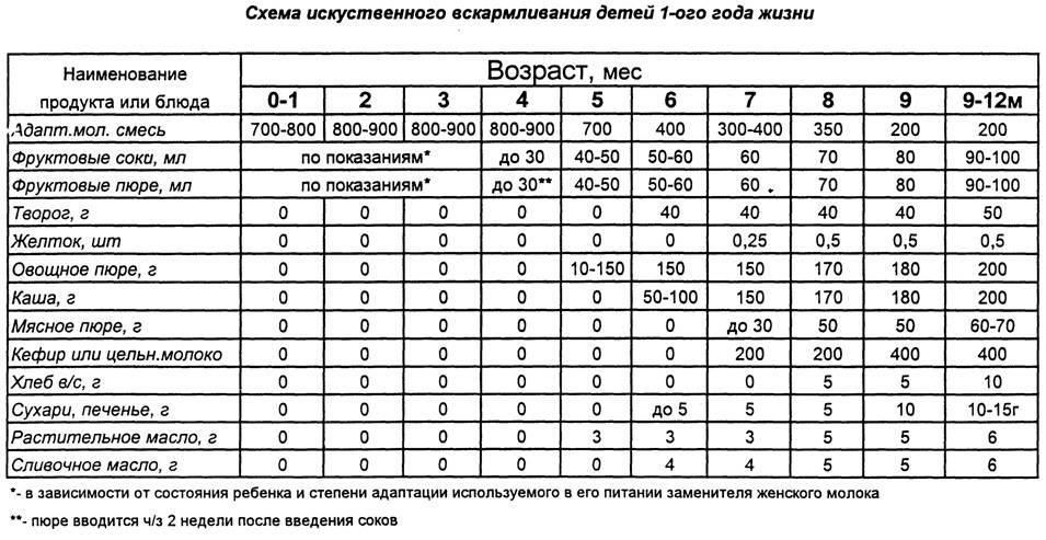 Как кормить ребенка в 11 месяцев супом