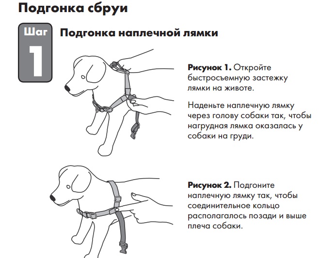 Как одеть шлейку на собаку: выбор, изготовление амуниции своими руками
