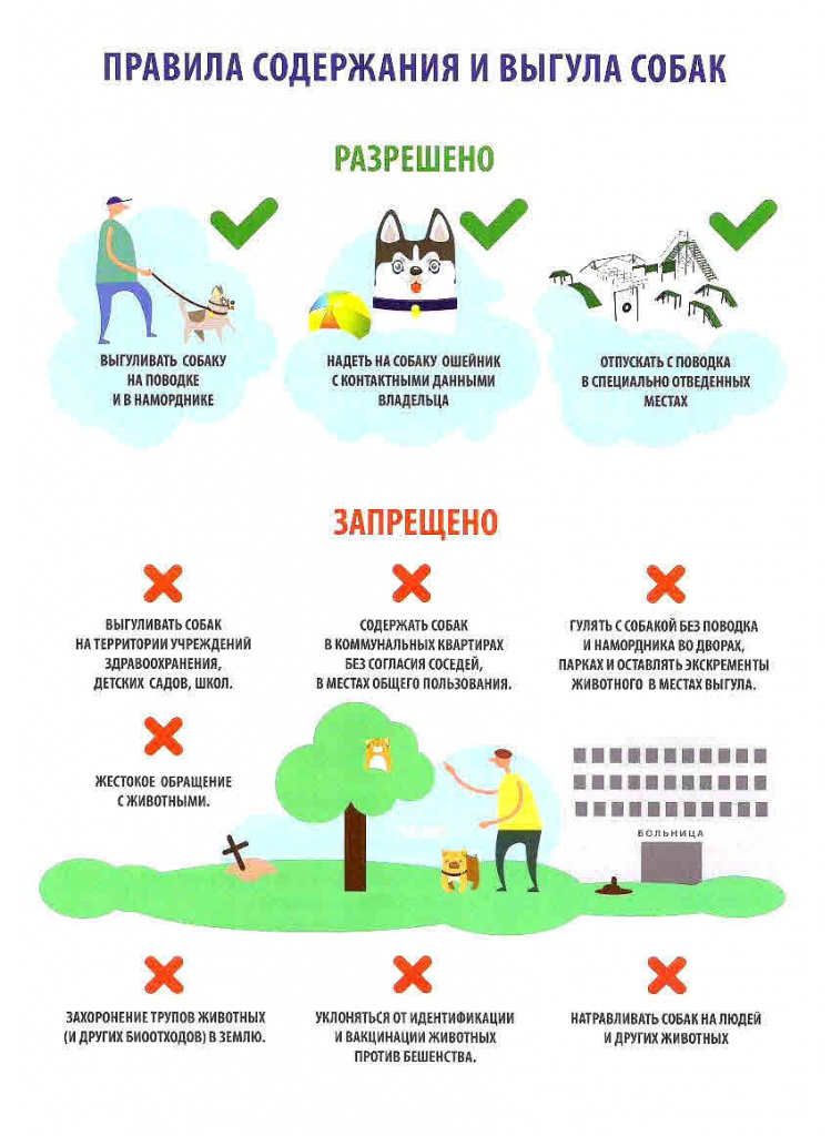 Нормы площадок и мест для выгула собаки: правила содержания и поведения