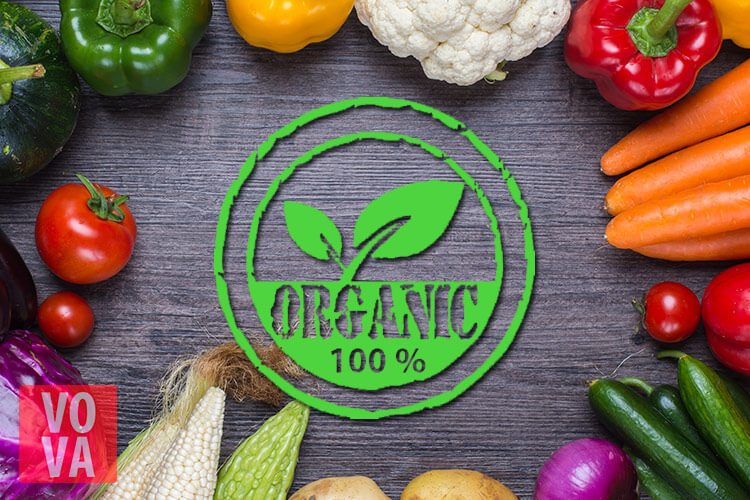 Organic food презентация