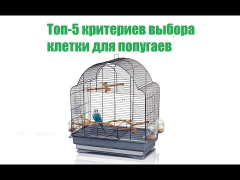 Клетка для попугаев и других птиц: обустройство и уход
