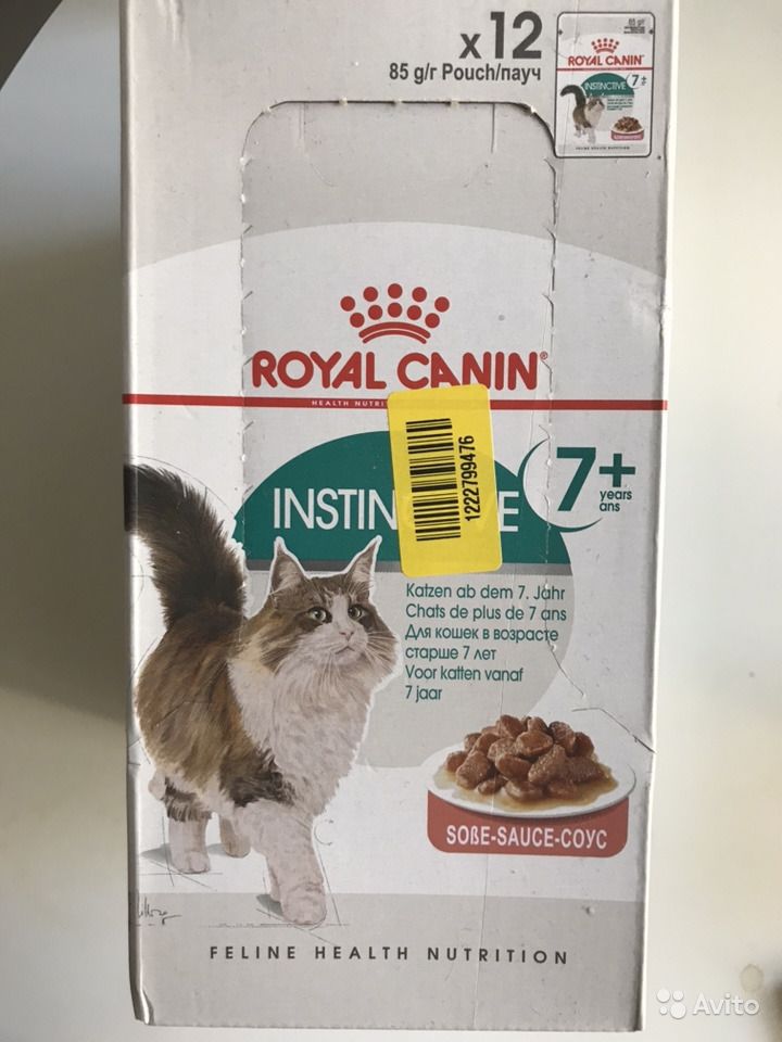 Молоко для котят royal canin: как разводить сухую смесь по инструкции для новорожденных котят? особенности заменителя молочка