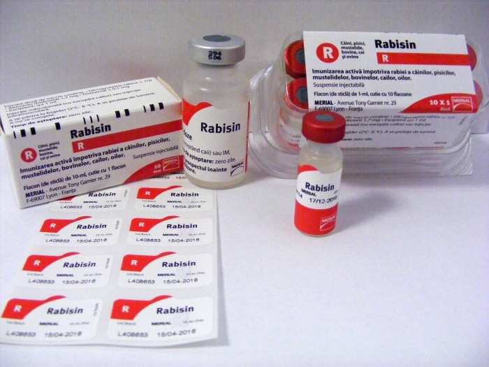 Рабизин для кошек: инструкция по применению и отзывы о вакцине