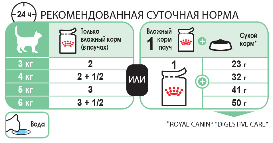 Чем кормить кота кроме сухого корма?