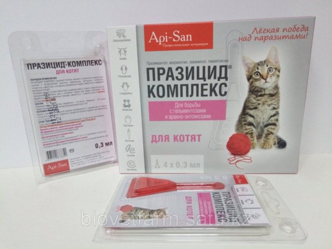 Празицид суспензия плюс для кошек: инструкция и отзывы