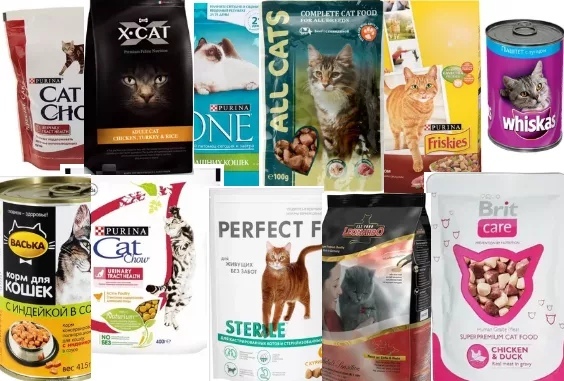 Поедают с удовольствием: 16 лучших сухих кормов для кошек