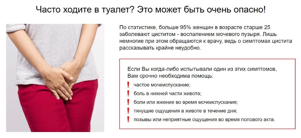 Собака писается ночью: причины, что делать хозяину