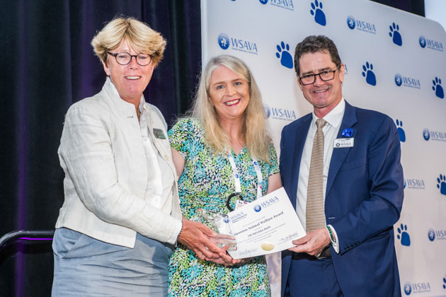 Ceva animal welfare awards 2019 – together beyond animal health