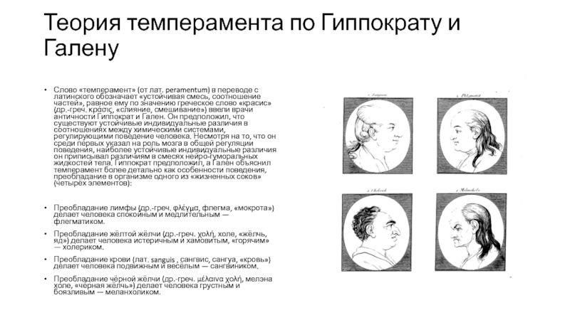 Бульмастиф: порода собак с грозной внешностью и спокойным нравом