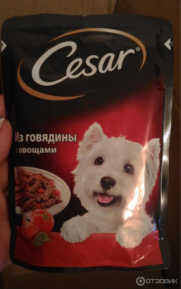 Характеристика корма cesar для собак, его разновидности и мнение экспертов