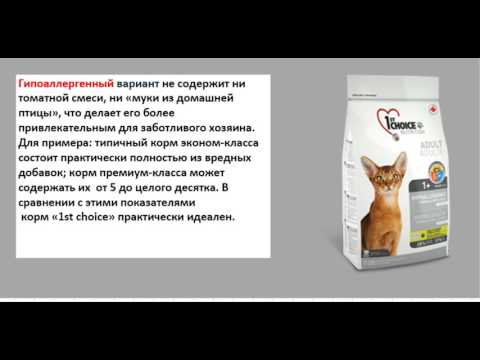 Отзывы о корме 1st choice (фест чойс) для кошек