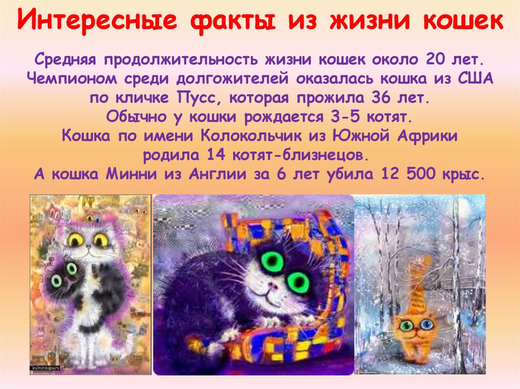 День кошек в россии и мире