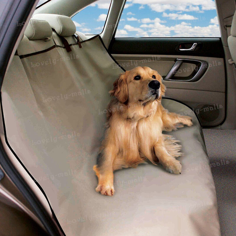 Как перевозить собаку в автомобиле?