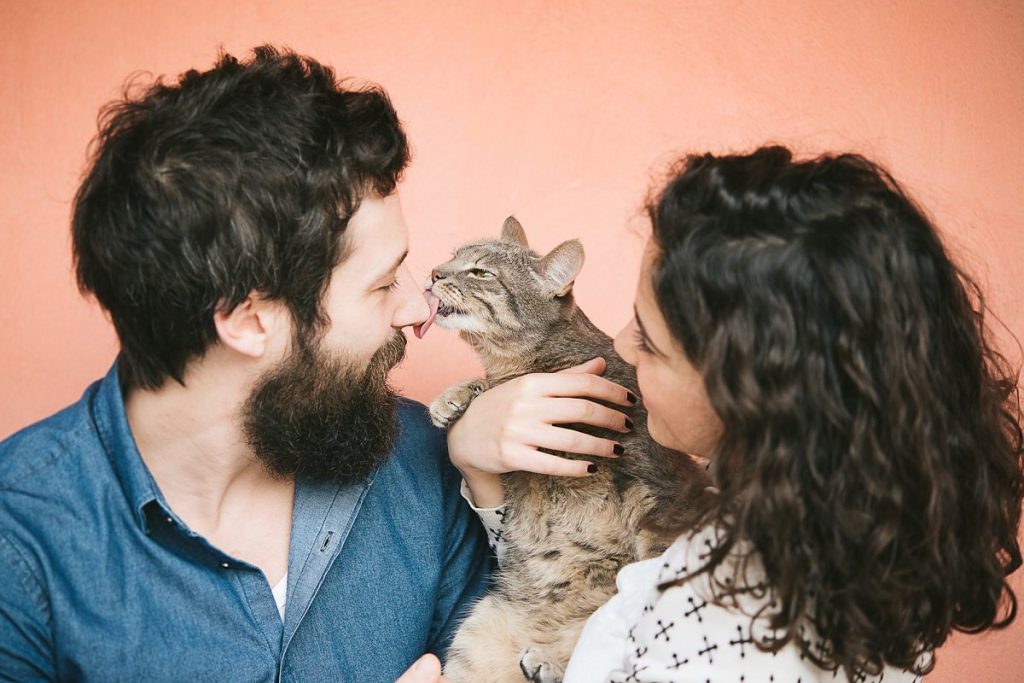 Что важнее для кошки: комфортный дом или любящий человек