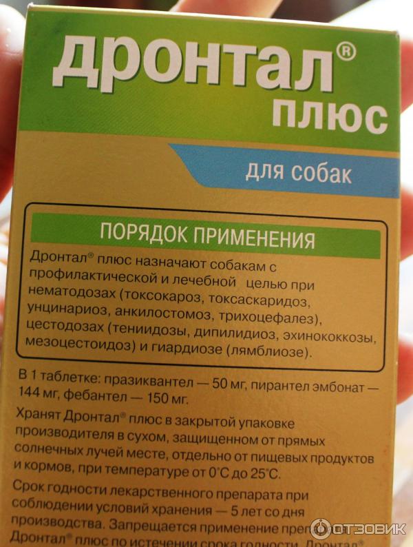 Полидиен для собак. какие витамины и минералы необходимы для собак