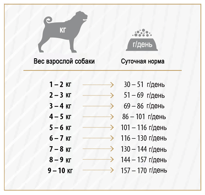 Можно ли собаке сливочное масло: в чем его польза и вред, сколько и как часто давать