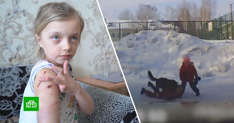 “никто не любил его, никогда!..” вместо усыпления самой стеснительной собаке подарили жизнь!
