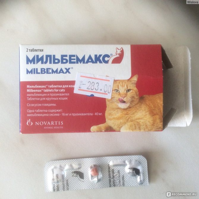 Мильбемакс для котят - инструкция по применению препарата