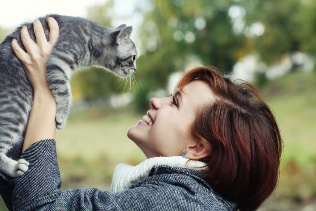 Как понять, что кошка тебя любит? ️