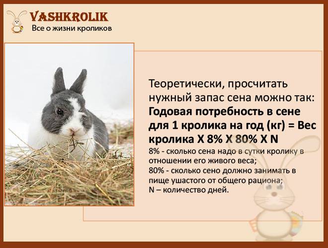 Какой травой нельзя кормить кроликов? | zoodom
