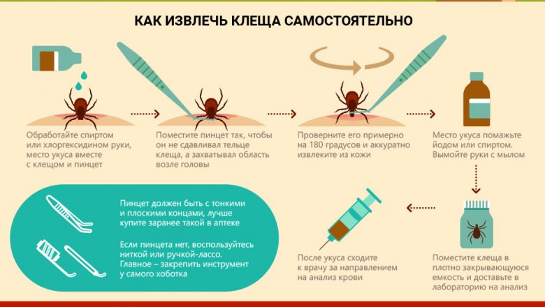 Клещ карта как пользоваться