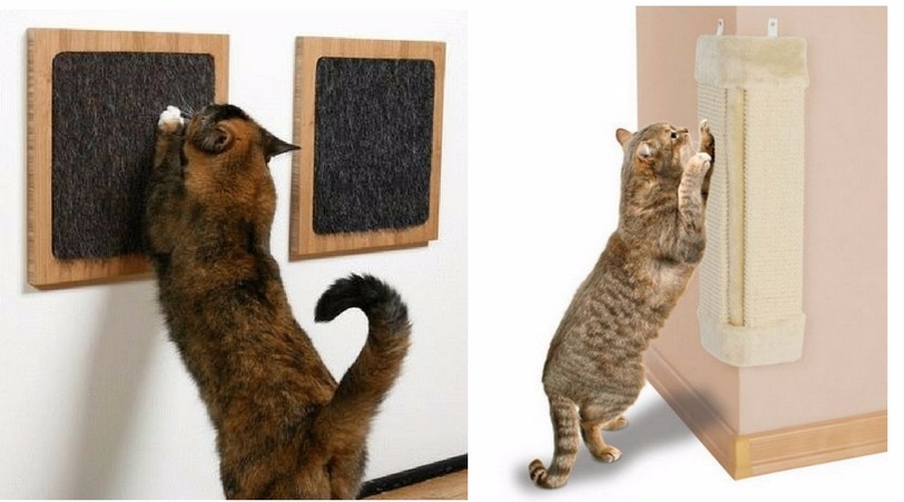 Как отучить кота драть мебель - рекомендации специалистов