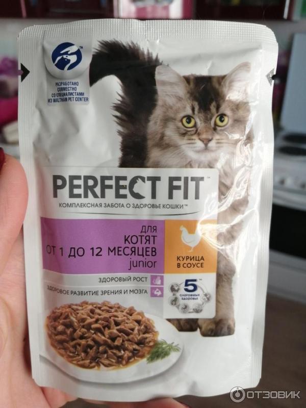 Perfect fit корм для кошек: отзывы, где купить, состав