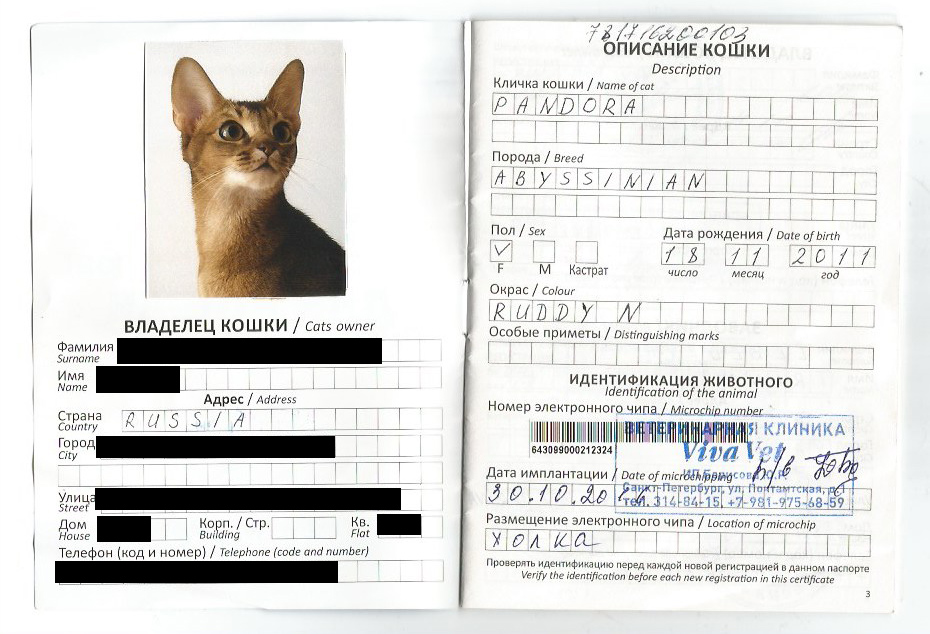 Документы на кошку с родословной: список необходимых бумаг, как оформить документы на котенка, дополнительные справки