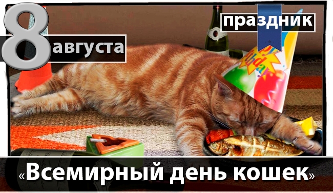 День котят 2021 отмечается 10 июля всеми любителями кошек