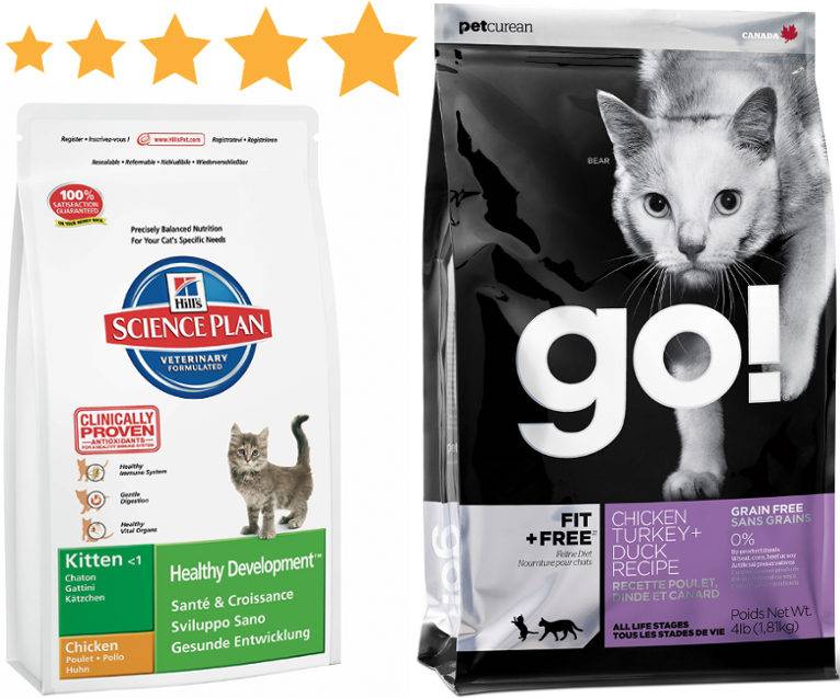 Какой корм для котят лучше: рейтинг качества 2019 года с указанием класса и состава, отзывы и мнение ветеринаров, рекомендации по выбору