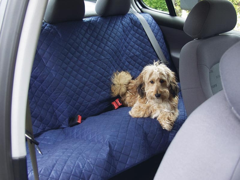 Обзор чехлов для собаки для перевозки для автомобиля: как применять накидки