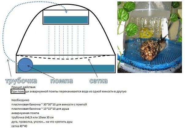 Как избавиться от улиток в аквариуме: эффективные методы против мелких аквариумных улиток