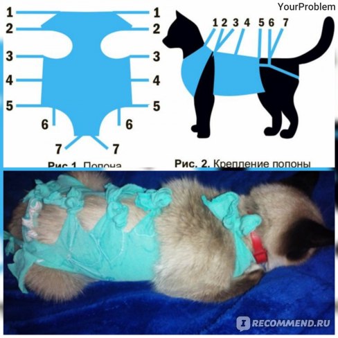 Попона для кошки после стерилизации: своими руками | фото, цена