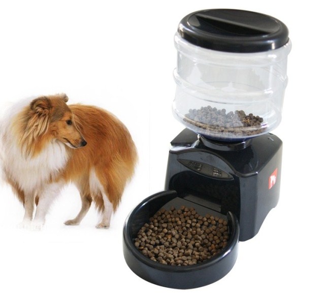 Автоматическая кормушка для собак: с таймером или кнопкой, для мелких и крупных пород