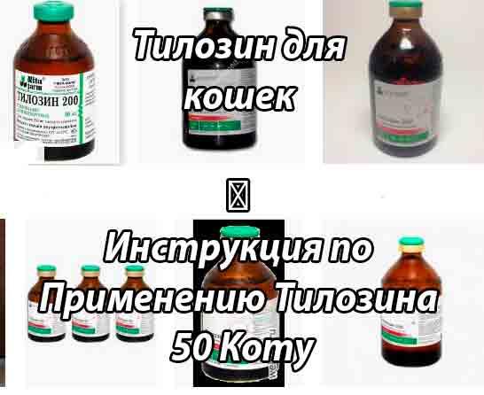 Тилозин 50, 200, ветеринарные препараты с доставкой по россии и странам снг в компании nita-farm