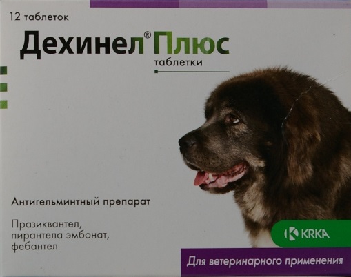 Дехинел плюс для собак: инструкция по применению, схема лечения, дозировка