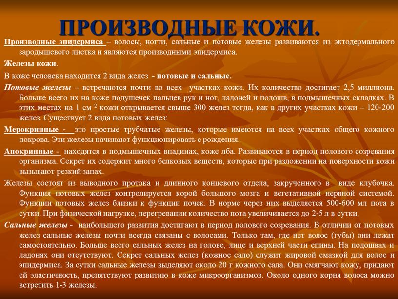 Идиопатический цистит у котов (ицк) - причины, симптомы, лечение | ветклиника зоостатус