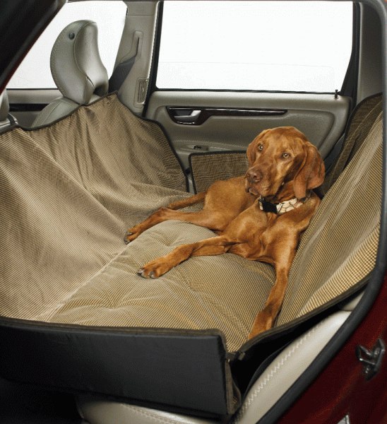 Как перевозить собаку в машине на дальние расстояния без стресса