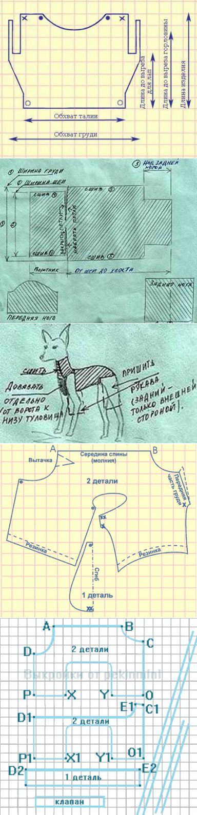 Выкройка комбинезона для собаки: варианты моделей и кроя, фото и видео мк